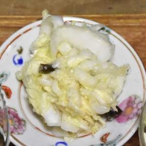 塩麹で白菜の浅漬け